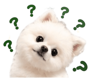 842381889