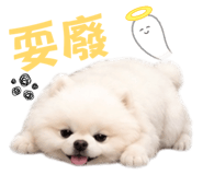 842381890
