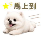 842381892