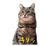 842382366