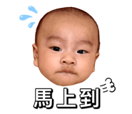 842382434