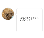 842382530