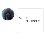 842382533