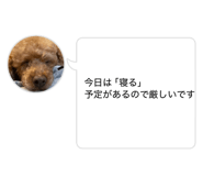 842382534