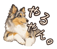 842382733