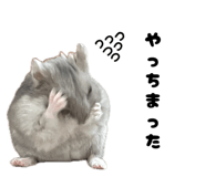 842383414