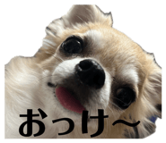 842383628