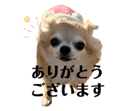 842383637