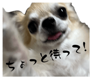 842383651