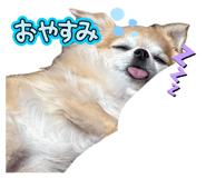 842383661