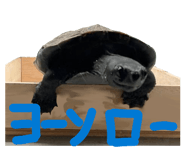 842383717