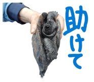 842383730