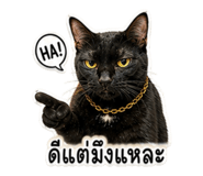 842383752