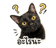 842383766