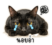 842383769