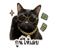 842383776