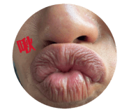 842384288
