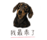 842384828