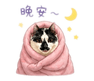 842384938