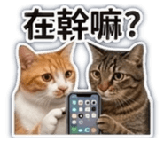 842384983