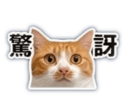 842385002