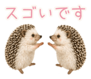 842385199
