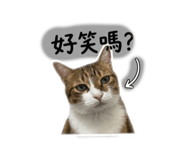 842385455