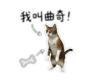 842385458
