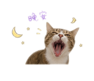 842385987