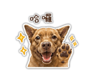 842386054