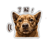 842386056