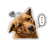 842386059