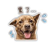 842386060