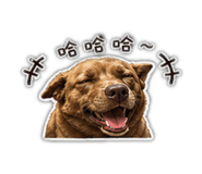 842386061
