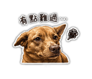 842386062