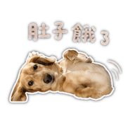 842386260
