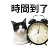842386746