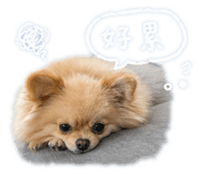 842387083