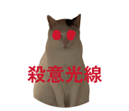 842387329
