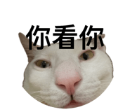 842387330