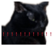 842387332