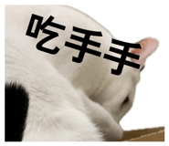 842387335