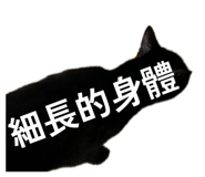 842387340