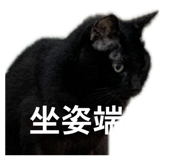 842387343