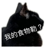 842387344