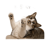 842387384