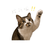 842387396