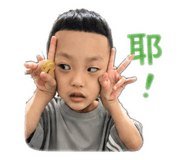 842387658