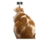 842387683