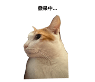 842387685